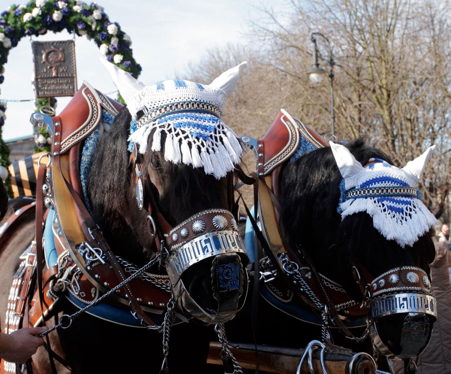 Zwei prachtvoll geschmückte Kaltblutpferde präsentieren sich in traditionellem Festgeschirr. Blau-weiße Verzierungen, glänzende Beschläge und kunstvolle Details betonen ihre kraftvolle Eleganz. Das Motiv steht für Pferdeliebe, regionales Brauchtum und festliche Tradition.